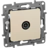 Розетка LEGRAND TV «звезда» 2 дБ 0-2400 мГц Etika слоновая кость 672351
